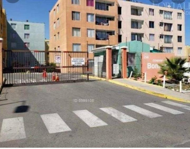 Excelente Departamento A Pasos Del Mar Apartment La Chimba ภายนอก รูปภาพ